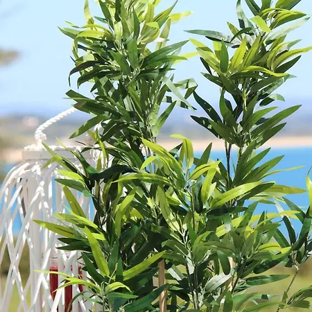 Wow Flat 200m Beach, 10min Downtown, Terrace With Sea View *