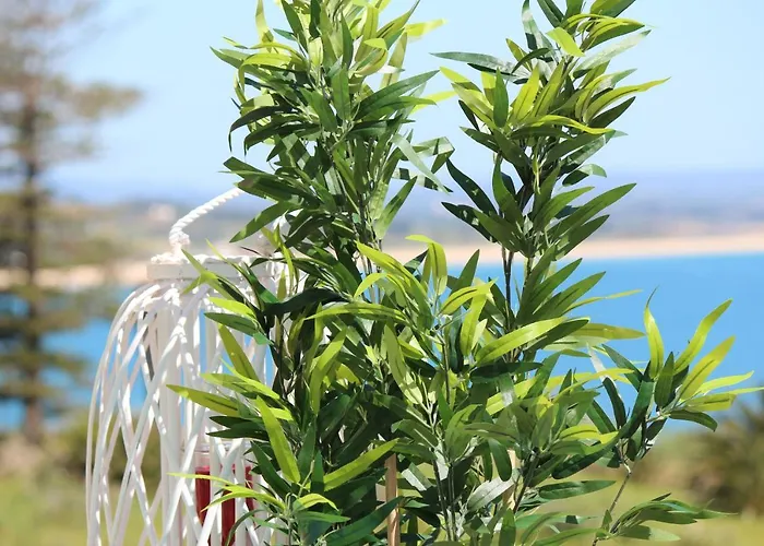 Wow Flat 200m Beach, 10min Downtown, Terrace With Sea View *